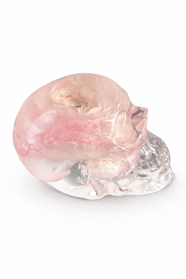 Bloom & Bone